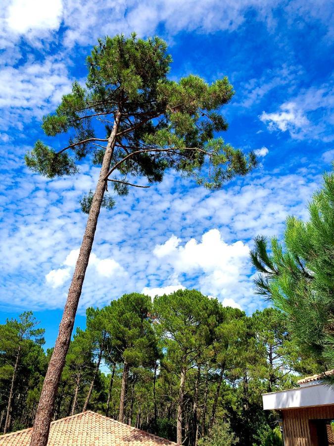 Domaine Du Ferret Restaurant & Spa Lège-Cap-Ferret Kültér fotó
