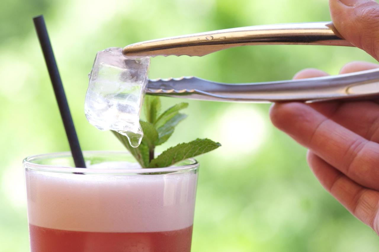 Domaine Du Ferret Restaurant & Spa Lège-Cap-Ferret Kültér fotó